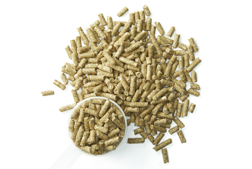 Purina® Systemiq® Probiotic Supplement